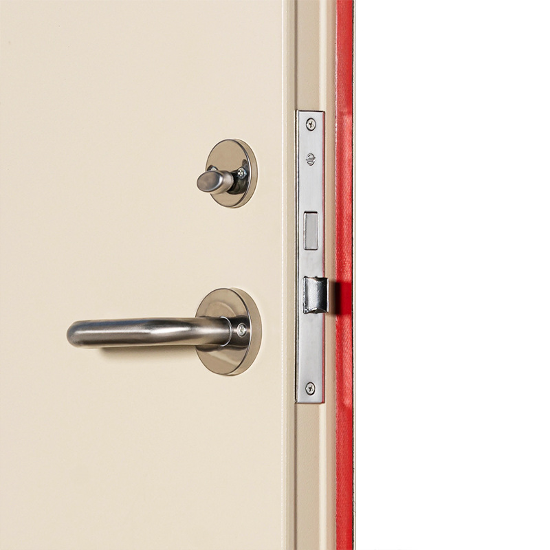 Heavy-Duty Steel Security Door for High Traffic Areas