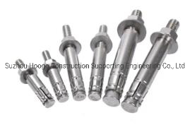 Stainless Steel Expansion Bolt// Drop in Anchor/ Chemical Anchor/Sleeve Anchor