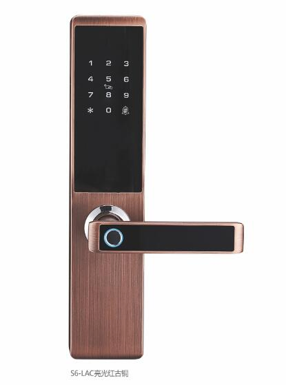 Black&Grey Intelligent Fingerprint Smart IC Card Door Lock