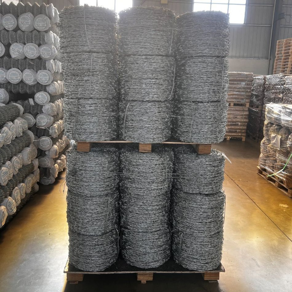 Bwg 14× 14 250m/Roll Double Twist Galvanized Barbed Wire for Agriculture Anti-Climb with High Tension for Grass Boundaries and Railways