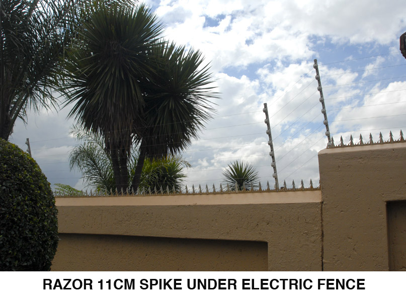 Anti Theft Galvanized Razor Wall Spikes
