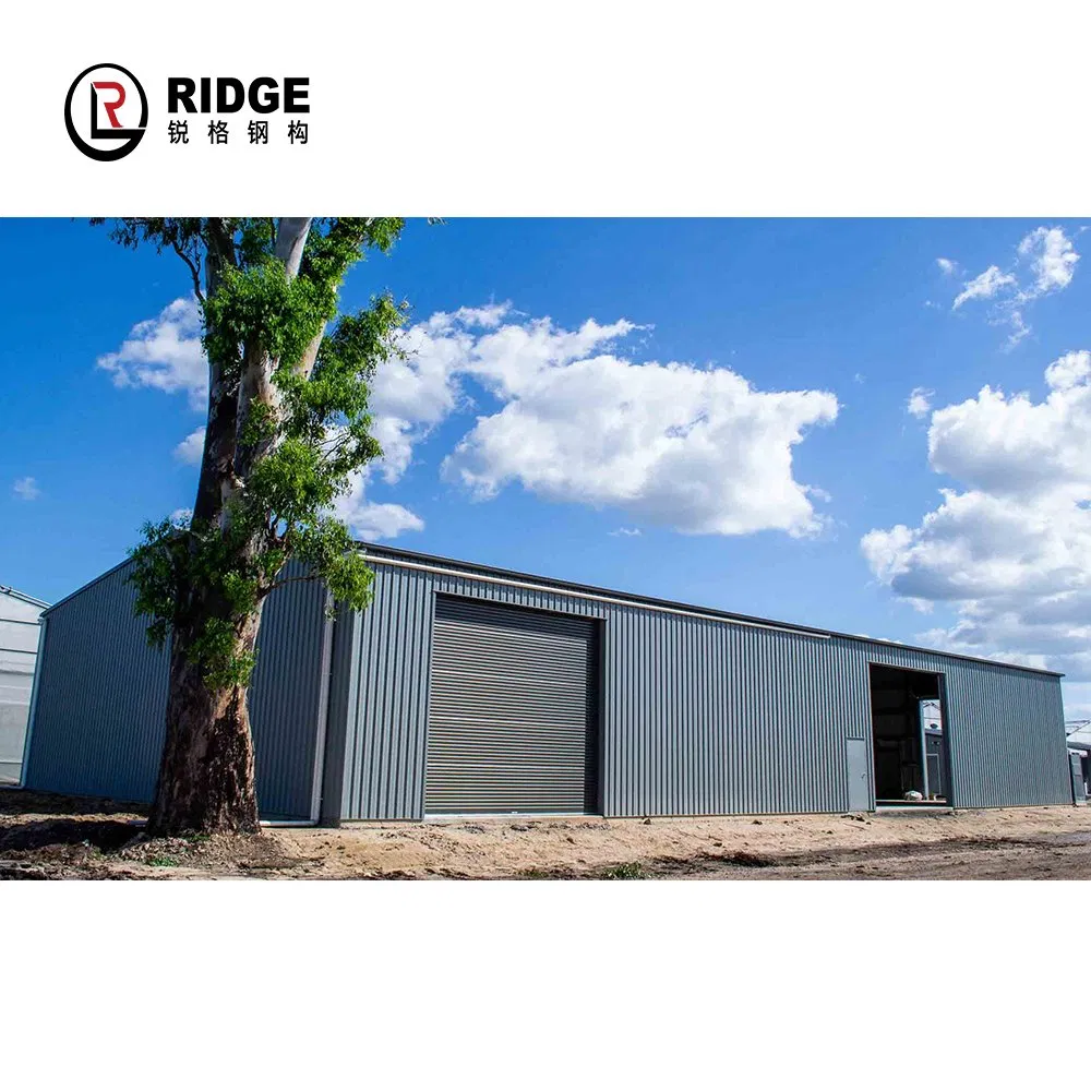 Cheap Galvanized Prefabricated Construction Building Steel Structure Gym