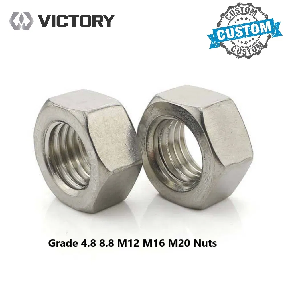 Weather-Resistant Hot DIP Galvanized Grade 8.8 Bolts and Nuts