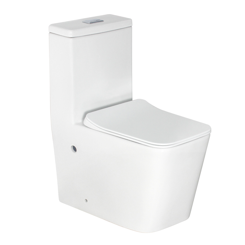 Modern Factory Direct Best Seller Washdown Bathroom Wc Ceramic Wall Mounted Toilet