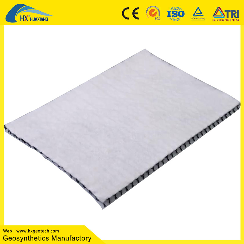 Hx Chinese Factory with Food Price Road Base 3D Composite Drainage Net for Road Construction 200g