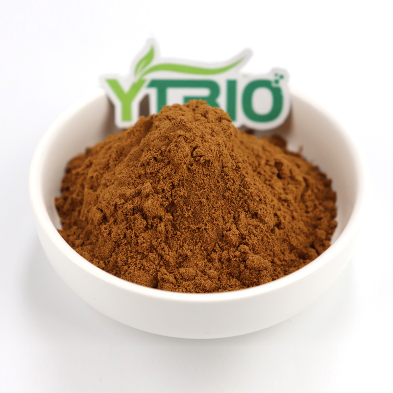 Hot Selling Cinnamon Bark Extract in Bulk Powder Cinnamon Bark Extract