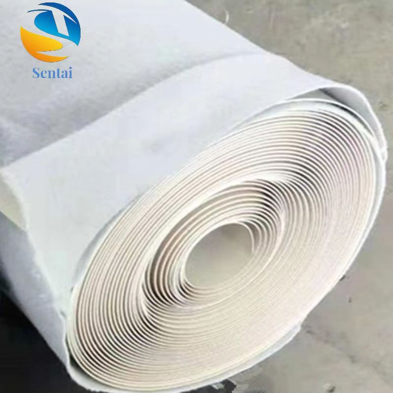 EVA Tunnel Waterproof Board Ecb White Geomembrane HDPE Anti-Seepage Membrane Liner PVC Geomembrane