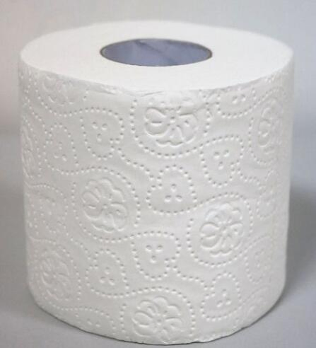 Premium Europe Asorbent 100% White Bathroom Roll