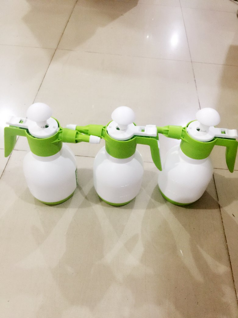 2L Mini Compression Sprayer Hand /Trigger Sprayer