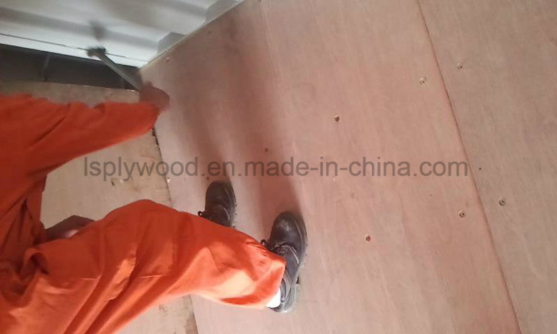Anti-Slip Combi Core Plywood for Scaffolding Boards From Shenzhou