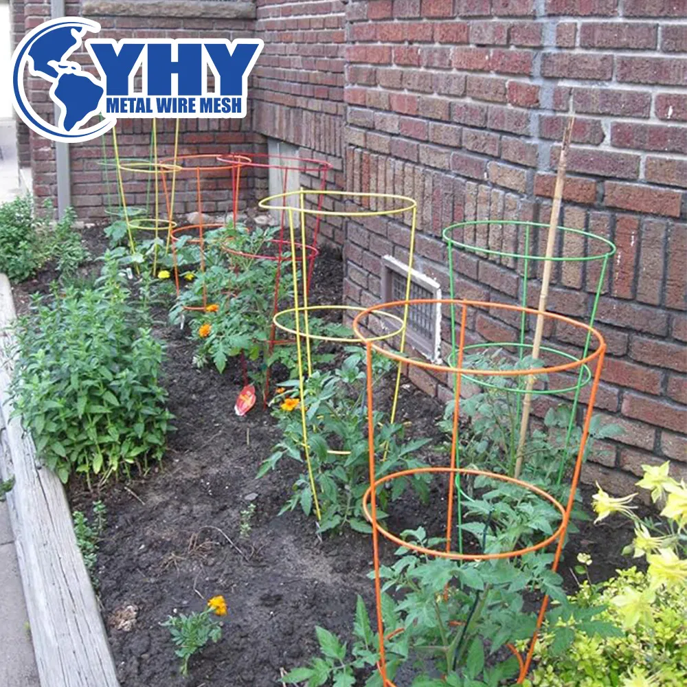 Plant Support Stakes for Vine, Vegetables, Fruits & Flowers