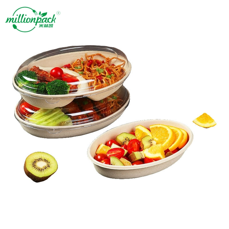 Biodegradable Sugarcane Bagasse Bowl Disposable Eco Friendly Pulp Food Container