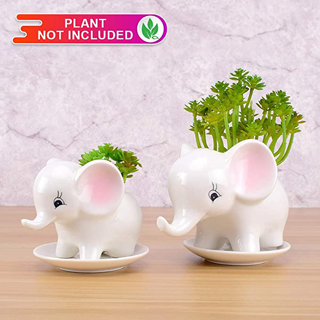 Горшок керамический белый для суккулентов слоны