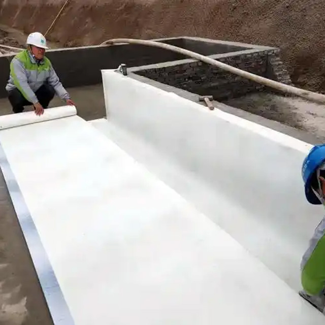 Good-Quality Deleno PVC Waterproofing Membrane Roofing Material for Tunnel/Basement