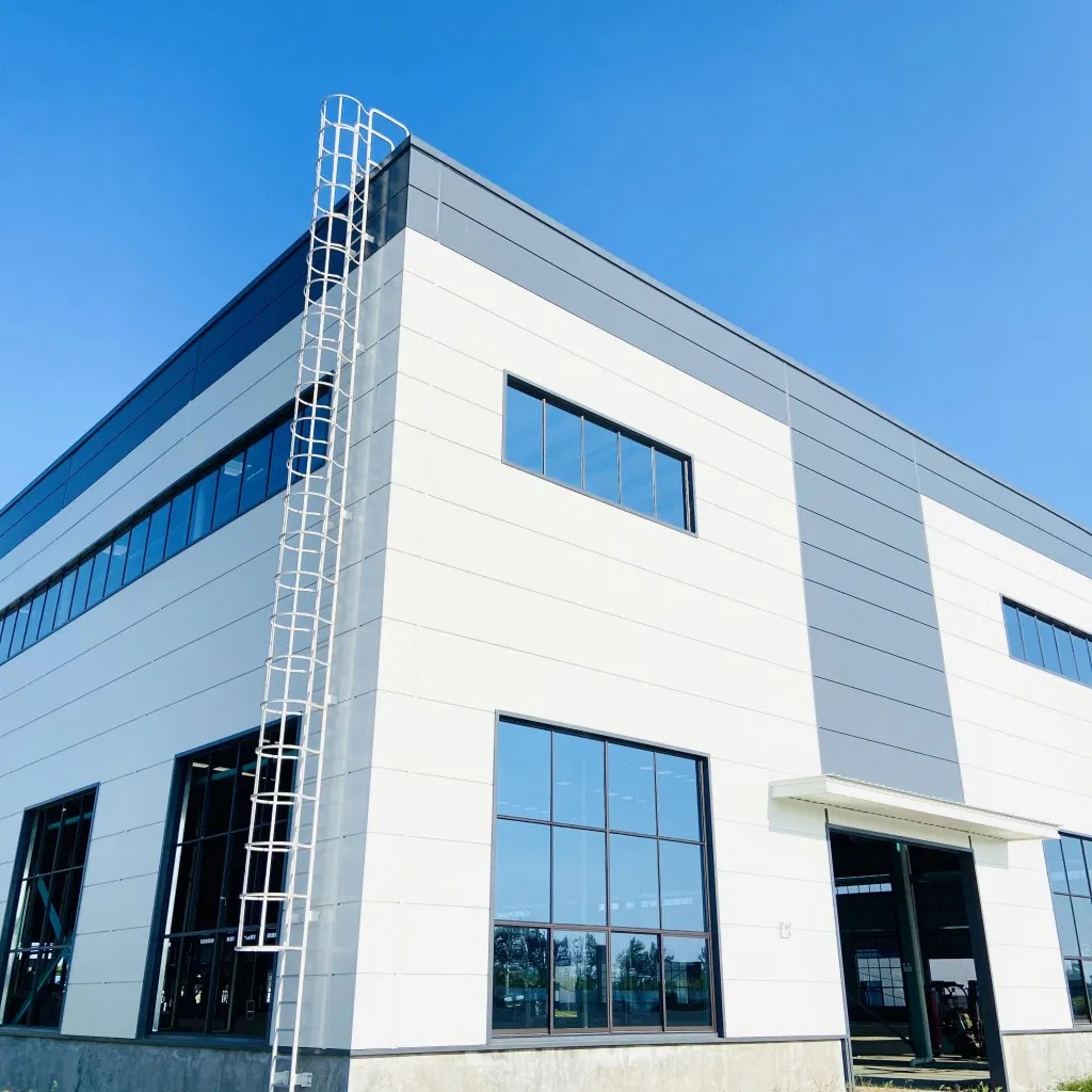 Large Span Hangar Steel Structure Warehouse Prefab Building for General Storage.