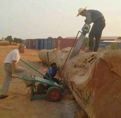 Полотна для ленточных пил лесопильных станков