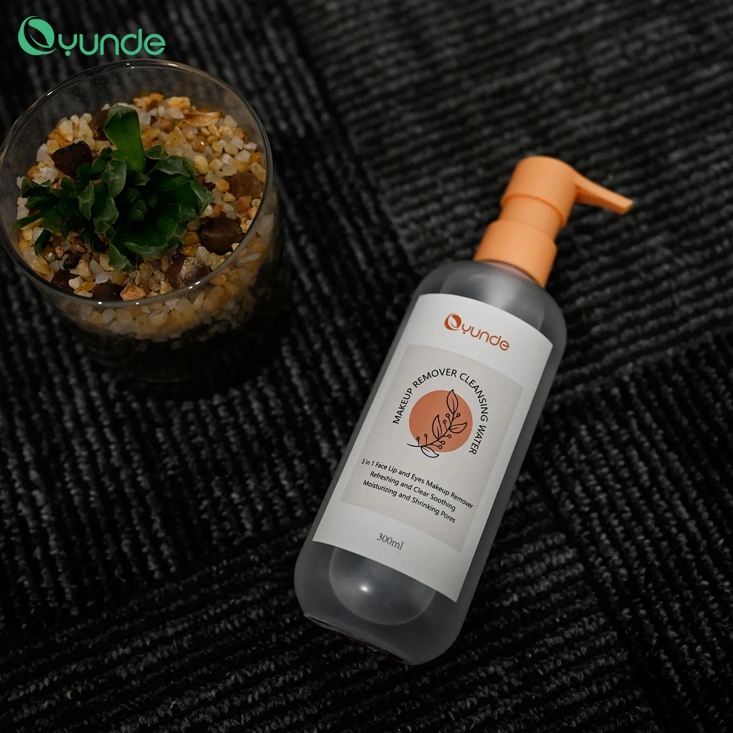 Wash and Care 3-in-1 Makeup Remover Cleansing Water
