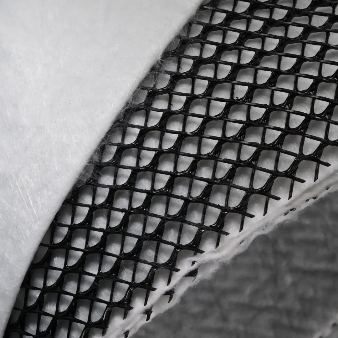 750-1600g HDPE Geocomposite Drainage Geo Net with Pet Filament Geotextile