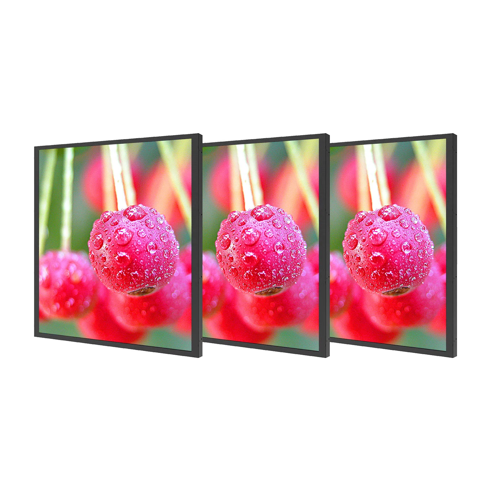 Wall-Mounted 19.2 Inch Square LCD Monitor Applied for Supermarket Advertising Player
