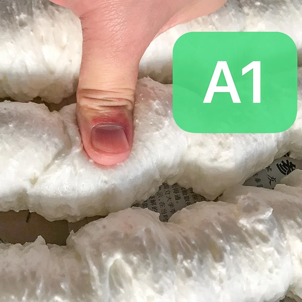 750ml Weather Resistant New Strong Adhesion PU Foam for Building