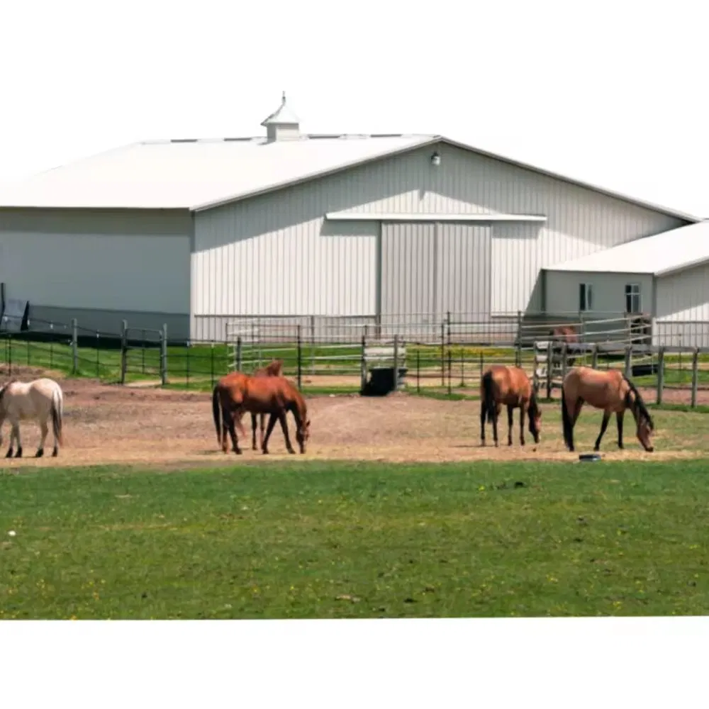 High Quality New Design Light Steel Structure Building for Pig House Horse House