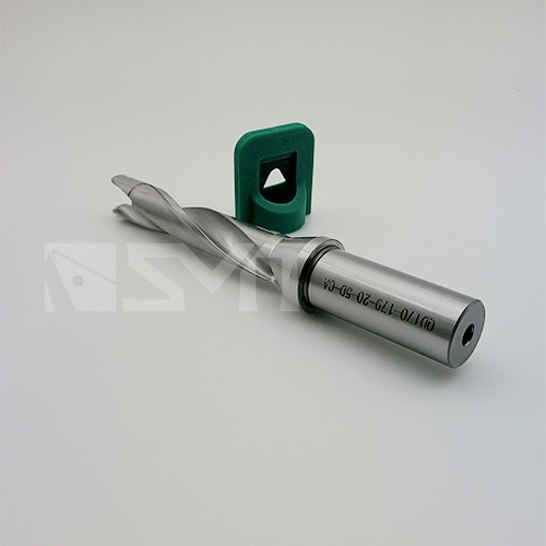 Drilling-Head Exchangeable Drill Body-Qd170-179-20-5D-Ca