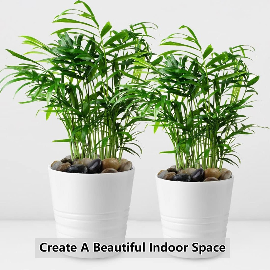 1-3cm White Natural River Rocks Ideal for Fish Tank & Vases & Crafting White