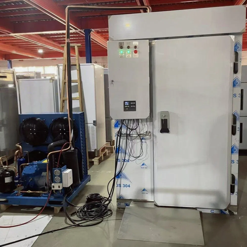 Food Quick Freezer Tunnel Blast Freezer Shock Chiller with Trolley Roll in