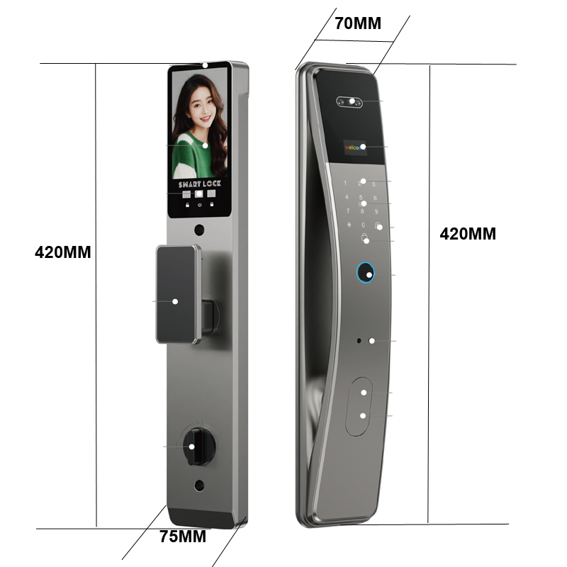 Economy 3D Face Unlock Alumnium Material Smart Lock