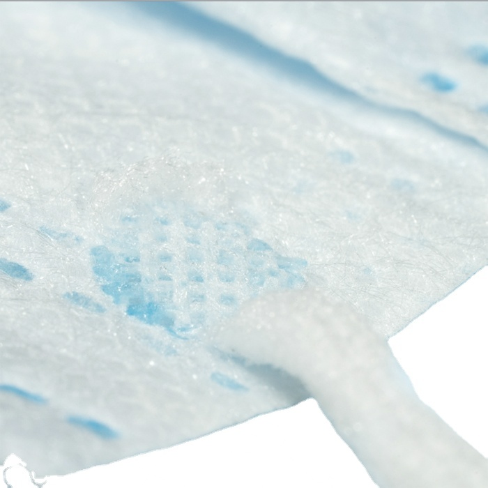 Professional Brand 3ply Protective Dust-Proof Disposable Facial Mask