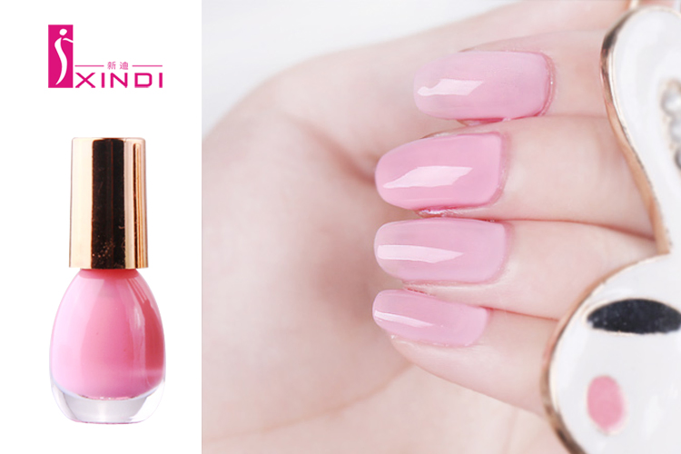 Quick Dry Waterproof Nail Lacquer Nail Polish