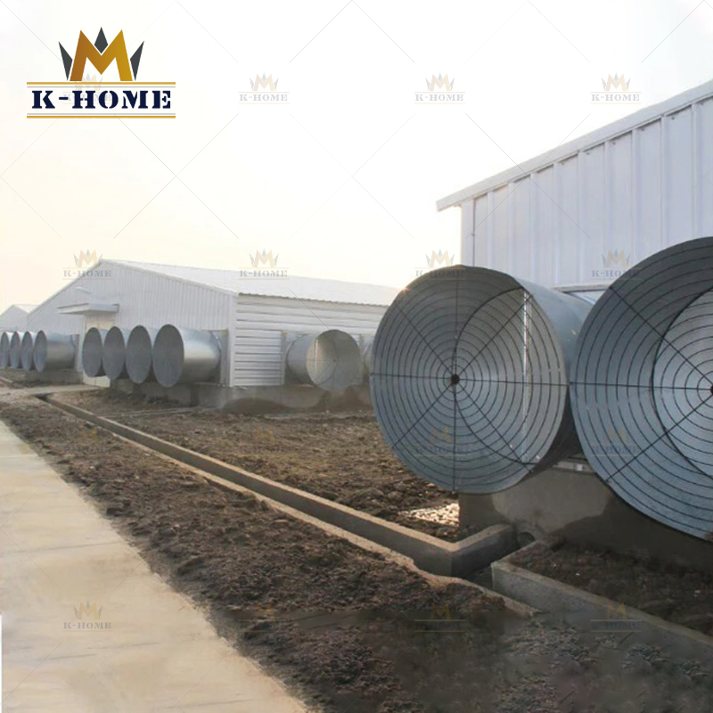 Cheap Chicken Layer House Steel Structure Poultry Farm for Sale