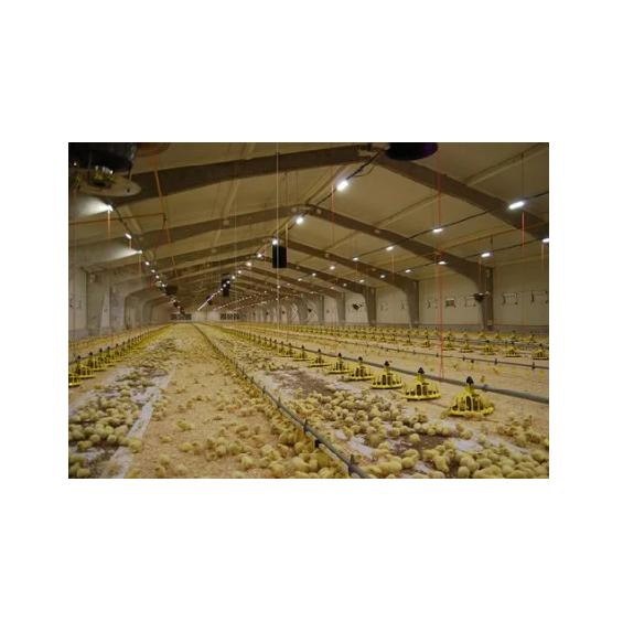 China Factory Manufacturing Steel Structure Poultry Houses for Poultry Farm