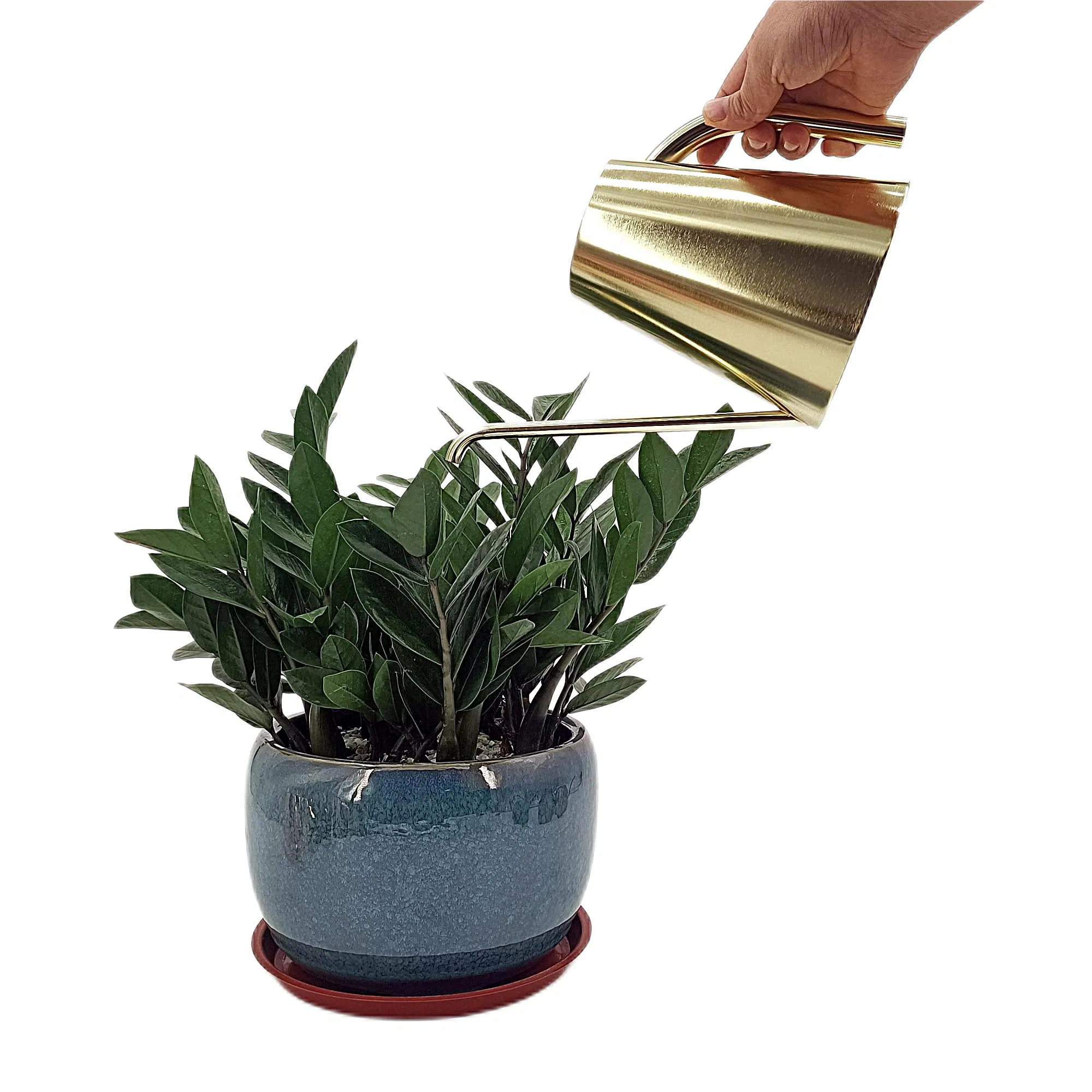 The Best Factory Modern Decorative Stainless Steel Designer Teapot Shape 1 Litre Watering Can with Long Spout