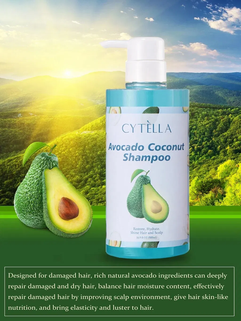 Restores Hydrated Lustrous Hair and Scalp Avocado Coconut Shampoo