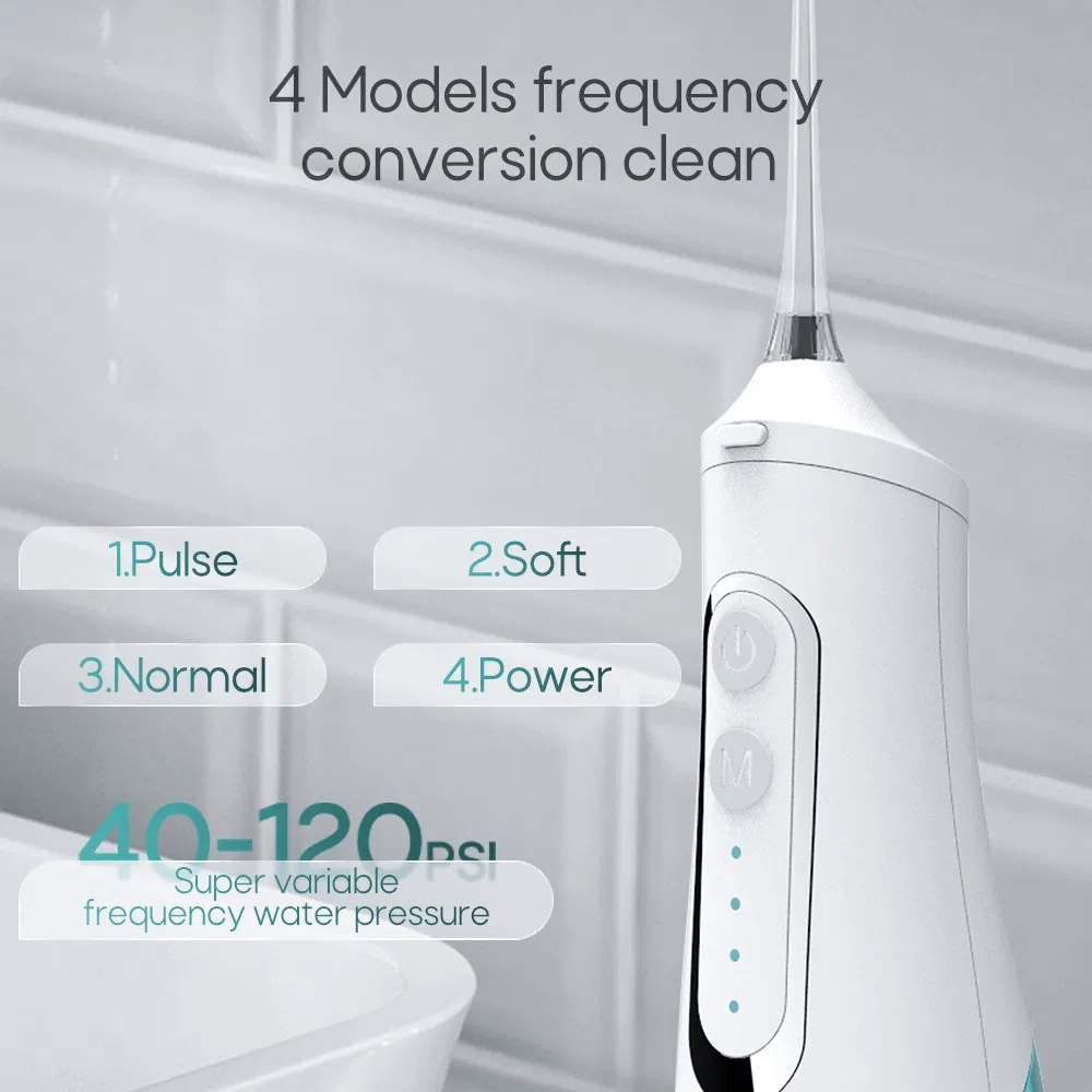 Water Flosser 4-Speed Pulse Water Jet Tooth Washer 310ml Water Flosser Electric Toothbrush House-Use