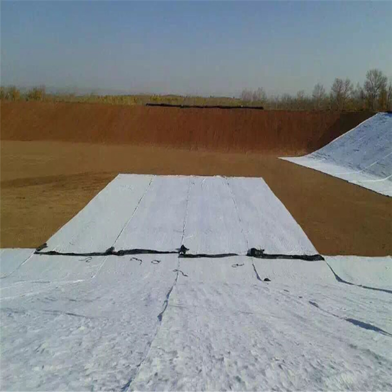 High Quality PP/Polyester Staple Fiber Geotextile