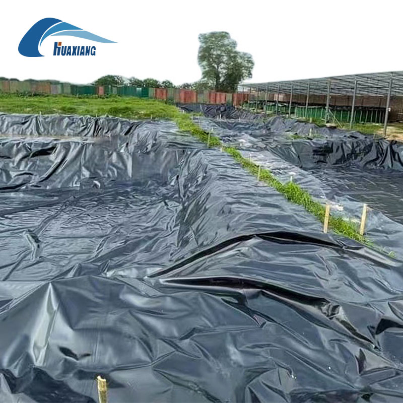HDPE Plastic Waterproofing/Anti-Seepage Smooth Surface HDPE Geomembrane for Fish Pond/Agriculture