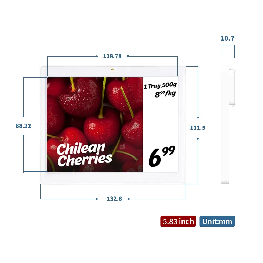 Smart Electronic Shelf Label for Supermarkets with EAS System