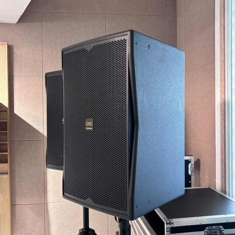 Domc K215 15-Inch Speaker - Ideal for Sound Reinforcement Systems
