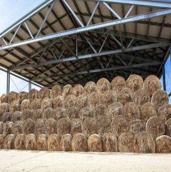 Custom Made Steel Structure Barn Hay Shed Farm Warehouse Insulated Kennel