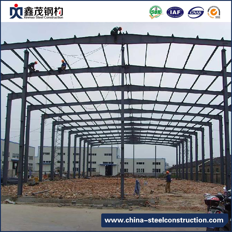 Prefabricated Steel Construction Building with Fast Installation and Efficient Cost