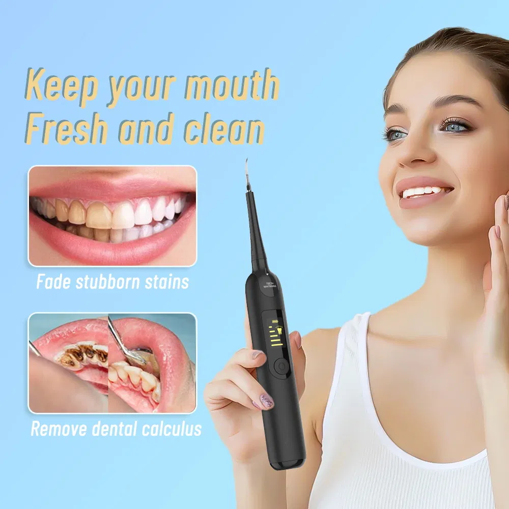 OEM/ODM Wholesale Electric Power Waterproof Rechargeable Dental Oral Irrigator Water Flosser