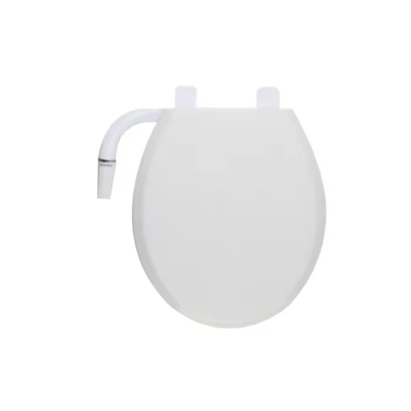 Best Toilet with Bidet Seat Installation Service Not Need The Plumber