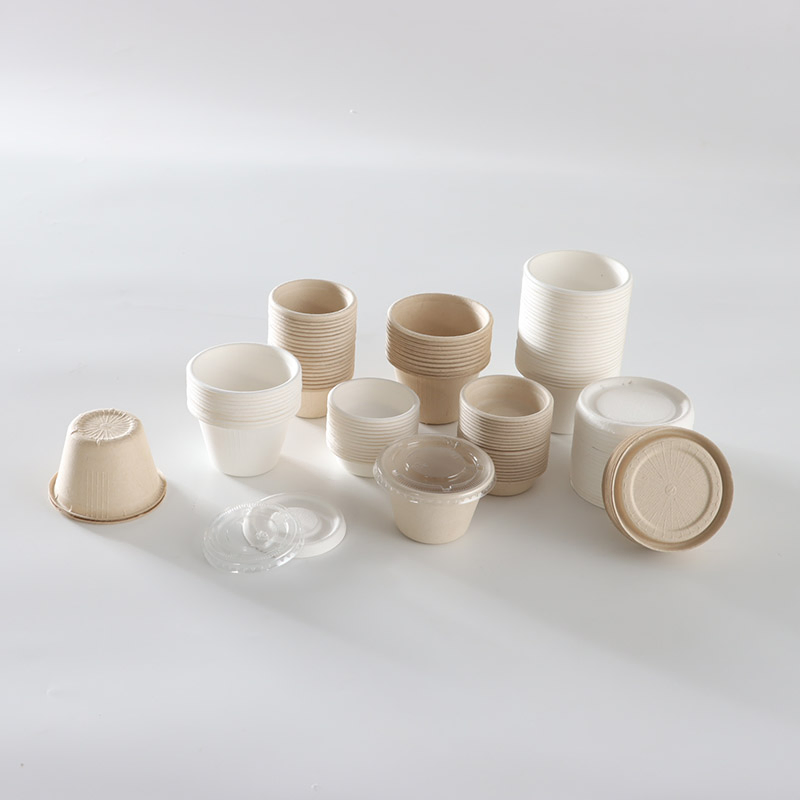 Biodegradable Takeaway Disposable Sauce Cup Food Container