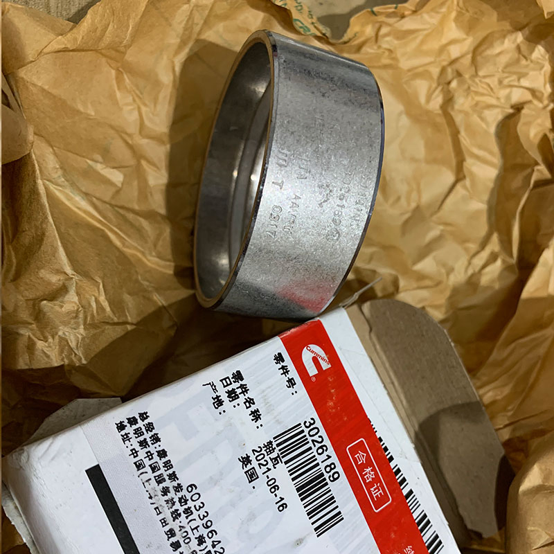 Cummins Engine Part Bushing 3026189 for Cummins Engine M11/L10