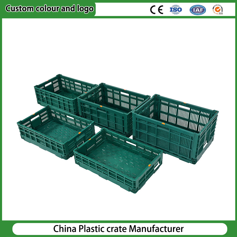 100% PP Material Collapsible Plastic Food Container Nestable and Stackable Vegetable Harvesting Foldable Transport Plastic Crates