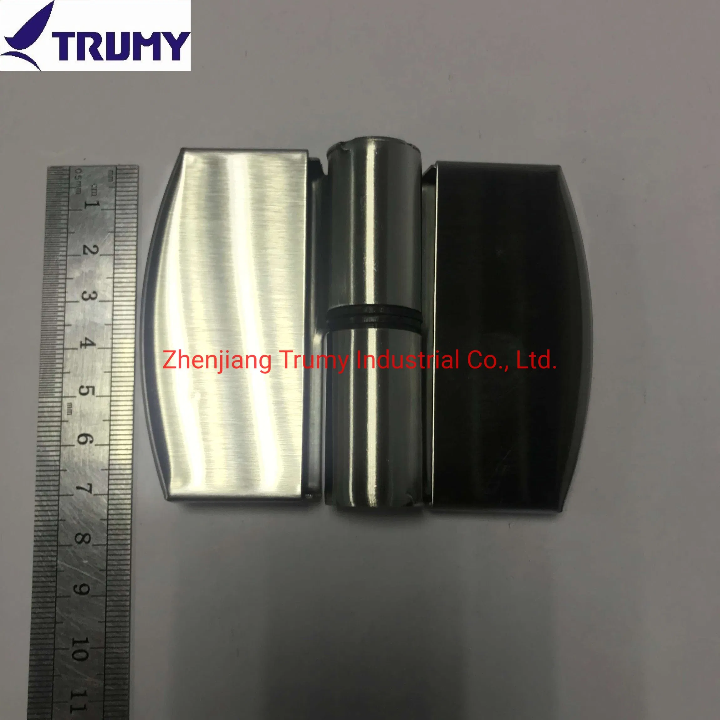Zinc Alloy Toilet Cubicle Partition Hardware Door Hinges for Sales