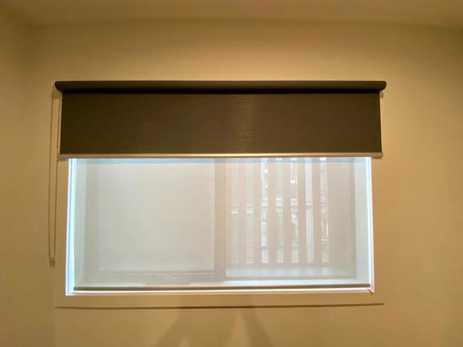 Indoor Motorized Smart Electric WiFi Dual Layer Window Blinds Shades