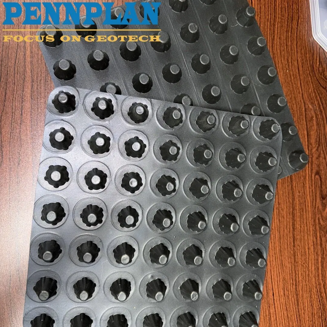 Construction Material HDPE Type Plastic Drainage Board for Garage Roof Greening